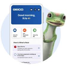 Geico 24 Hour Customer Service